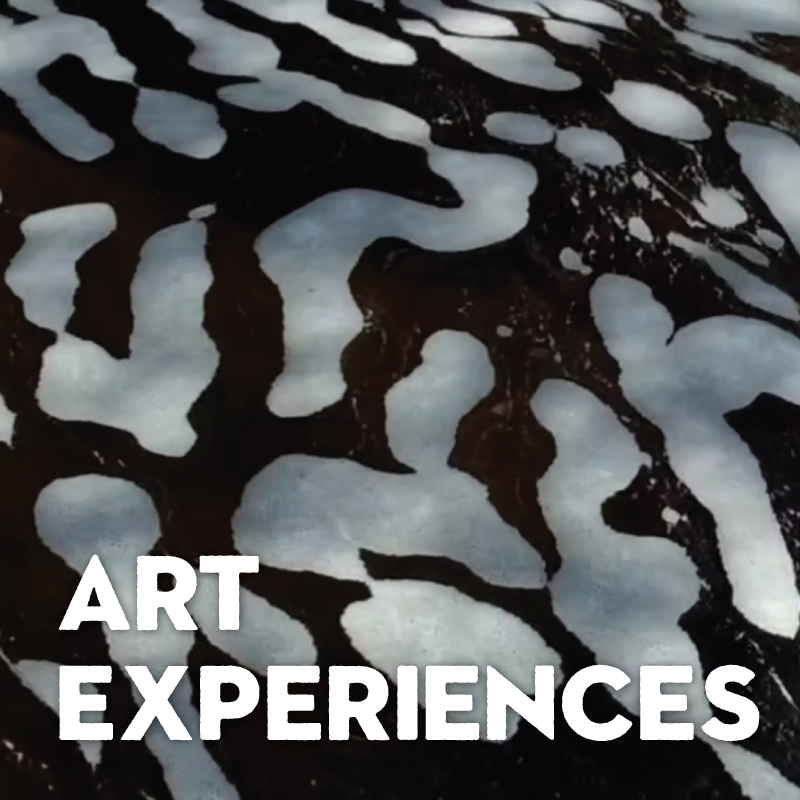 Art Experiences